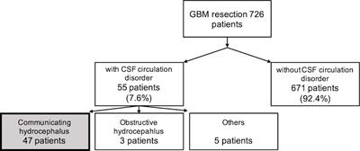 Postoperative communicating hydrocephalus following glioblastoma resection: Incidence, timing and risk factors